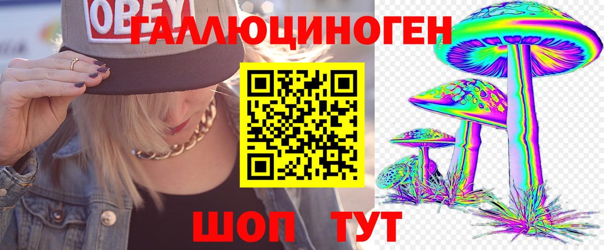 Галлюциногенные грибы GOLDEN TEACHER  Вход с VPN  Орёл 