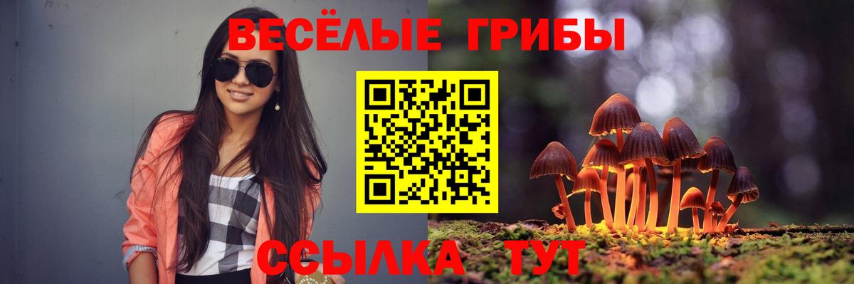 Галлюциногенные грибы прущие грибы Орёл